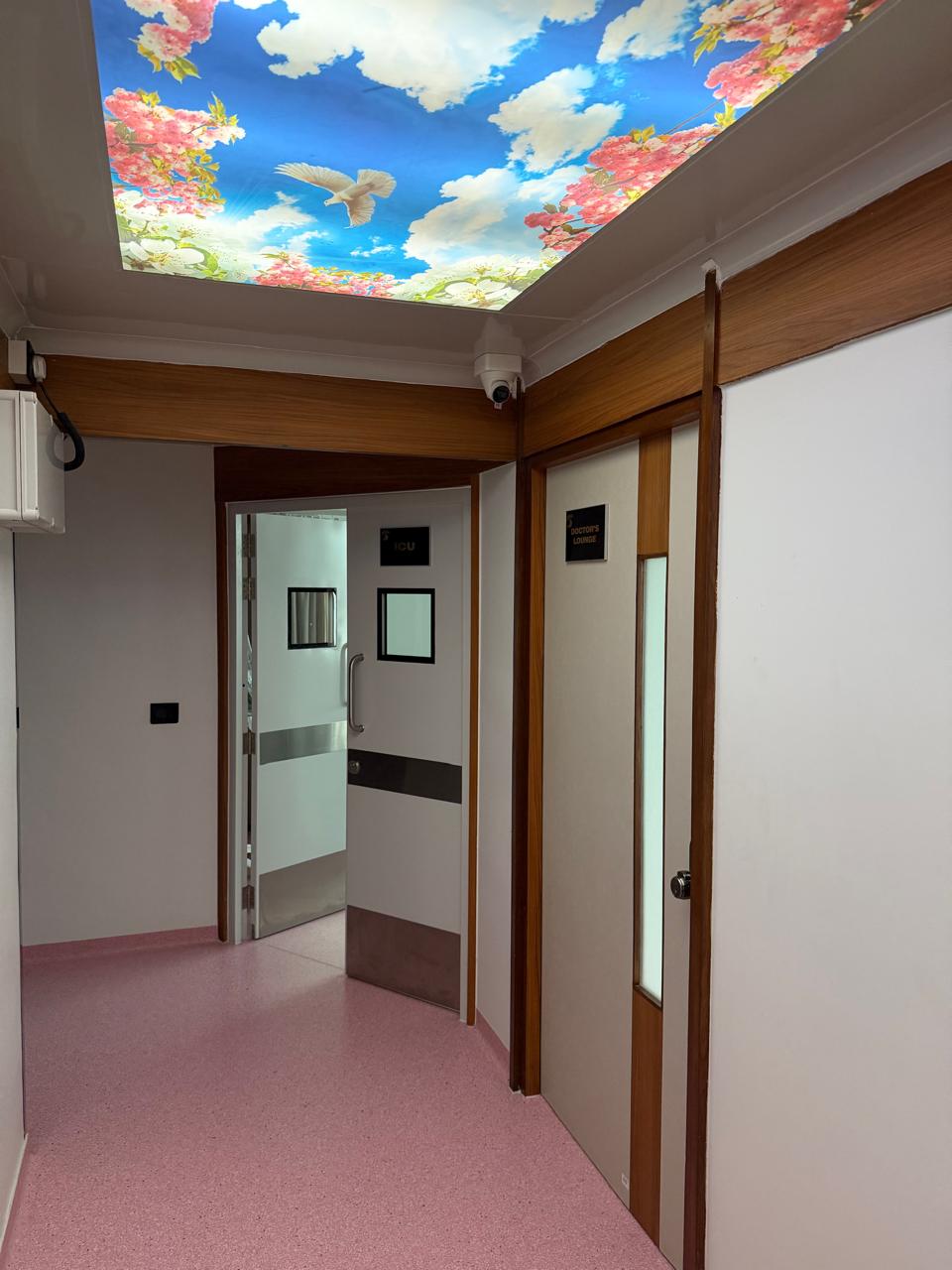 Gallery image 16